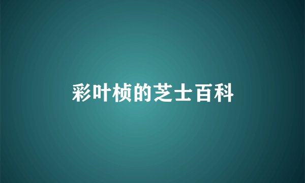 彩叶桢的芝士百科