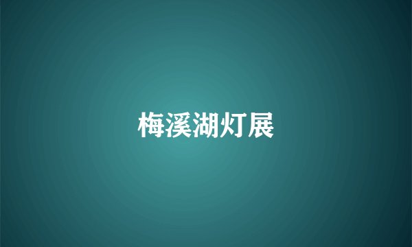 梅溪湖灯展