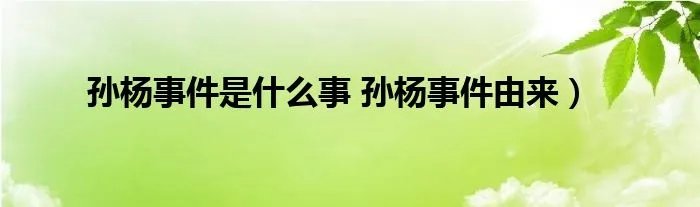 孙杨事件是什么事 孙杨事件由来)