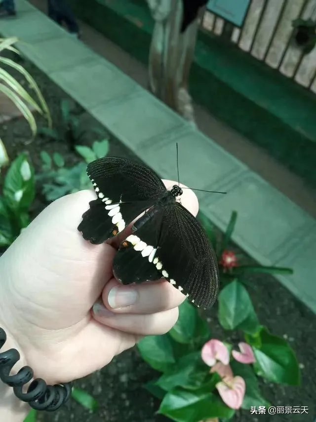 台湾有什么风景名胜区?
