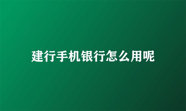 建行手机银行怎么用呢