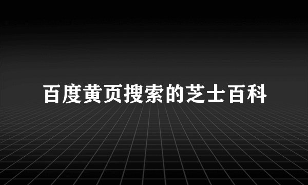 百度黄页搜索的芝士百科
