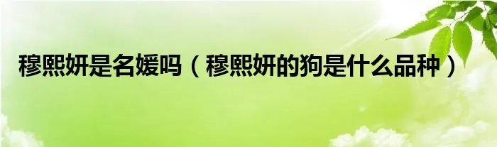 穆熙妍是名媛吗（穆熙妍的狗是什么品种）