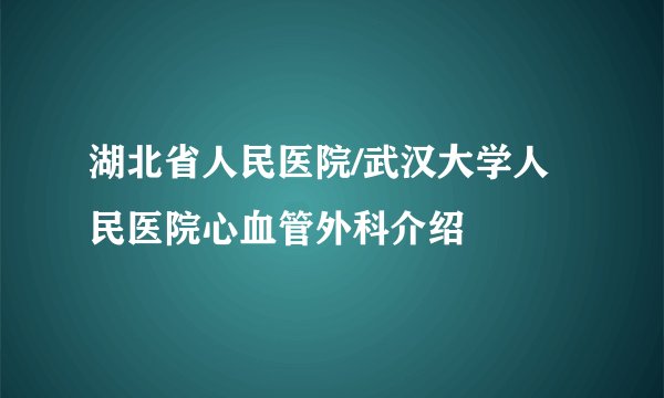 湖北省人民医院/武汉大学人民医院心血管外科介绍