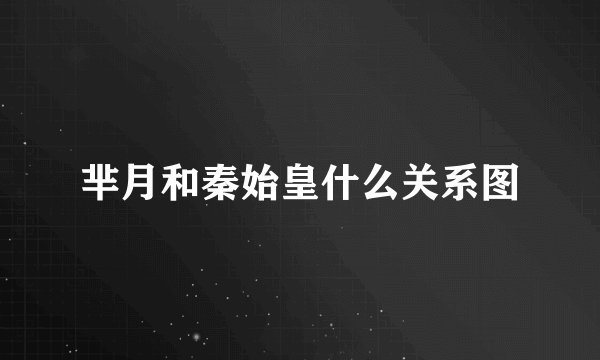 芈月和秦始皇什么关系图