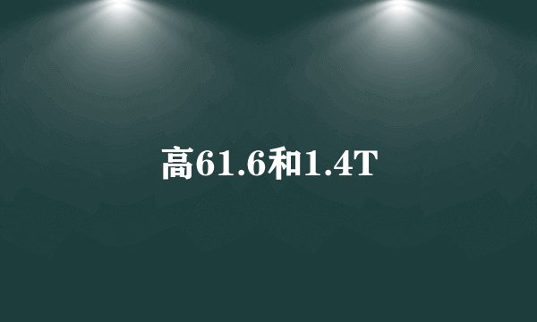 高61.6和1.4T