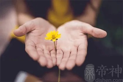 手掌厚的女人命好吗 手掌厚的性格如何