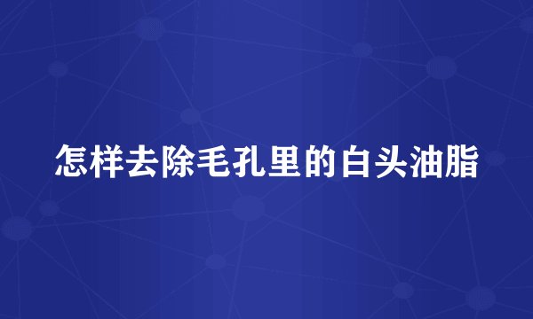 怎样去除毛孔里的白头油脂