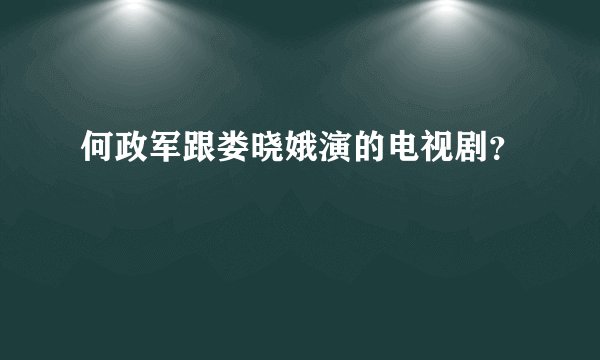 何政军跟娄晓娥演的电视剧？