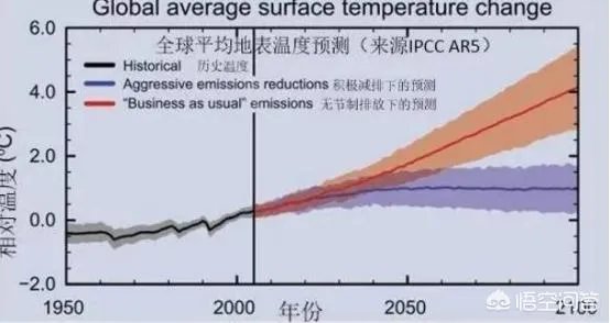 近来北极圈罕见32℃高温,高温成因是什么?北极熊受此影响会走向灭绝吗?