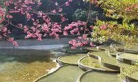 福州哪个公园比较休闲?