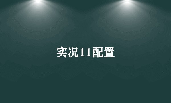 实况11配置