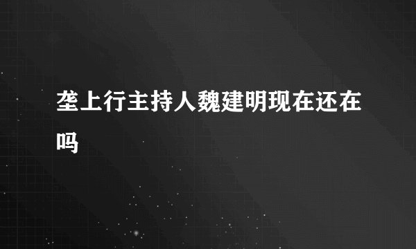 垄上行主持人魏建明现在还在吗