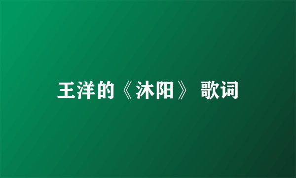 王洋的《沐阳》 歌词