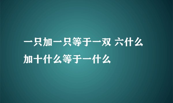 一只加一只等于一双 六什么加十什么等于一什么