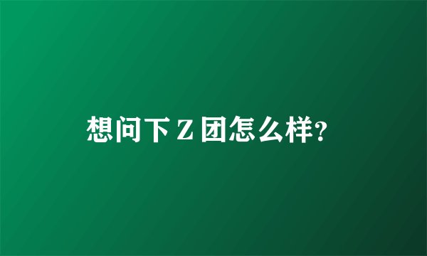想问下Z团怎么样?
