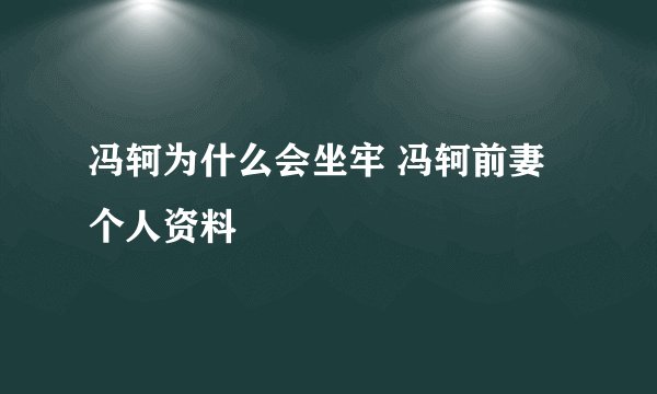 冯轲为什么会坐牢 冯轲前妻个人资料