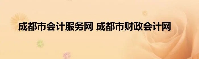 成都市会计服务网 成都市财政会计网