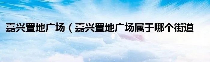 嘉兴置地广场(嘉兴置地广场属于哪个街道