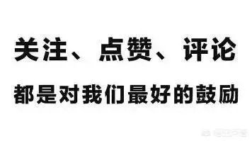 哪种微面适合改装成房车?
