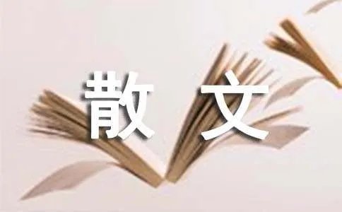 有些人,我们一直在错过散文欣赏