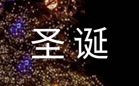 圣诞节日记