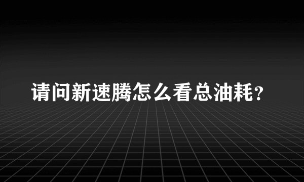 请问新速腾怎么看总油耗？