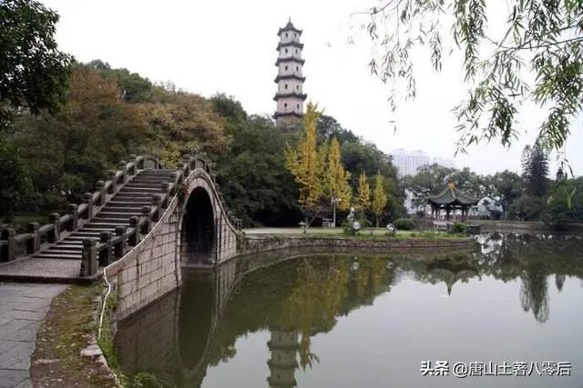 近期打算来一次温州自驾游,去哪里比较合适?