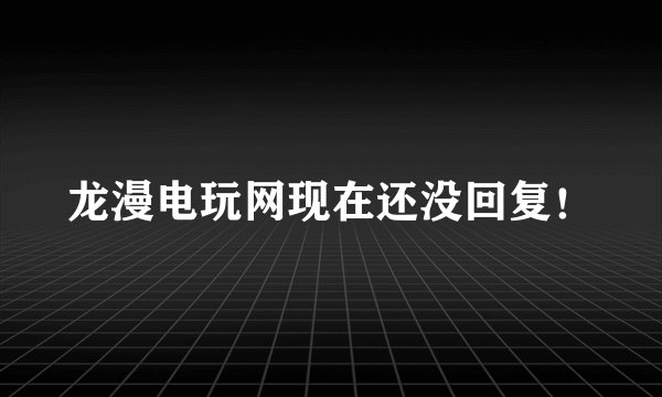 龙漫电玩网现在还没回复！