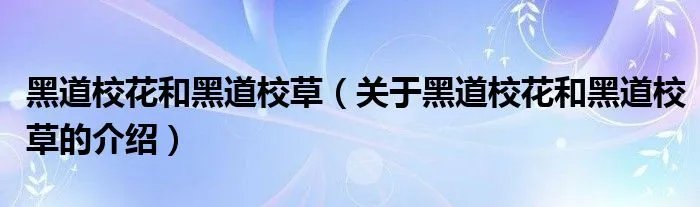 黑道校花和黑道校草（关于黑道校花和黑道校草的介绍）