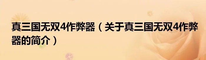 真三国无双4作弊器（关于真三国无双4作弊器的简介）