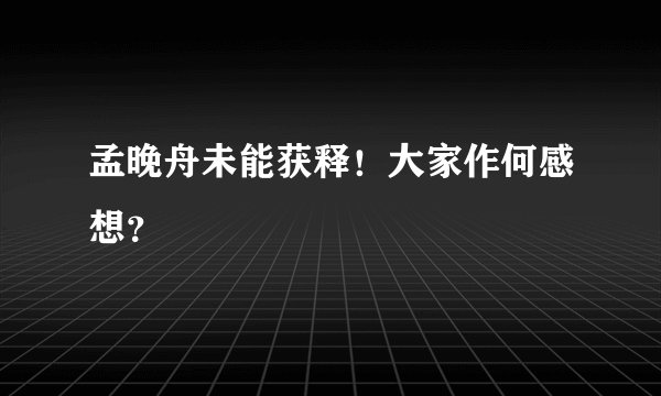 孟晚舟未能获释！大家作何感想？