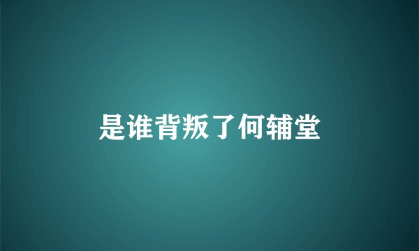 是谁背叛了何辅堂