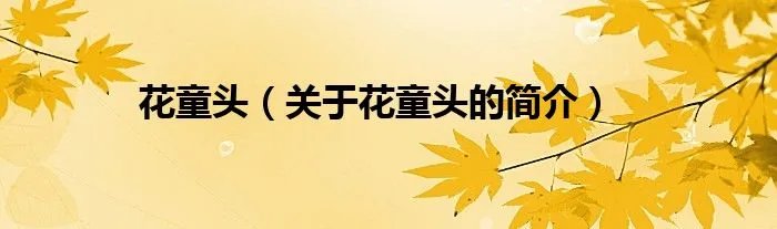 花童头（关于花童头的简介）