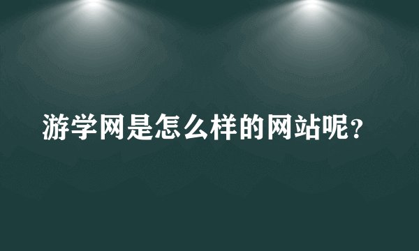 游学网是怎么样的网站呢？