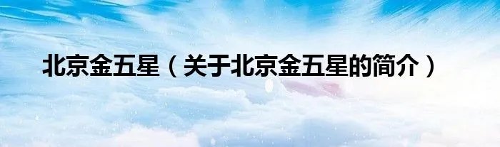 北京金五星(关于北京金五星的简介)