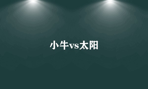 小牛vs太阳