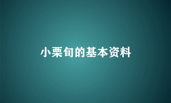 小栗旬的基本资料