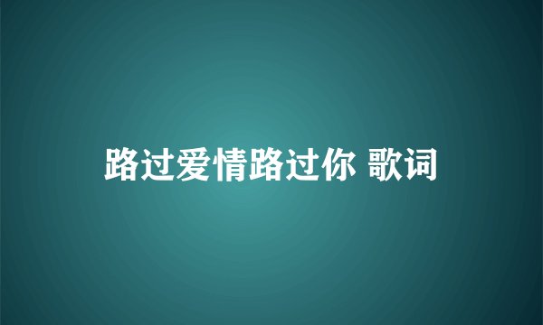 路过爱情路过你 歌词