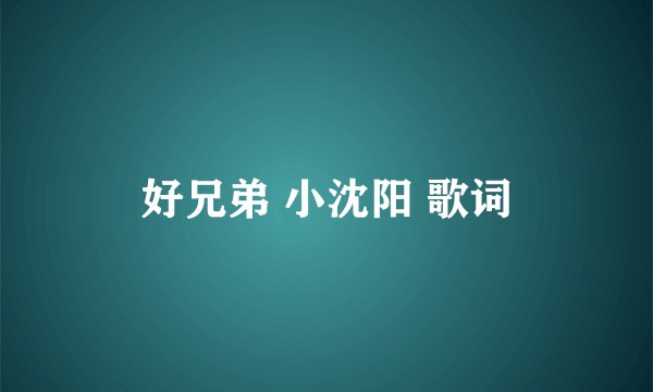 好兄弟 小沈阳 歌词