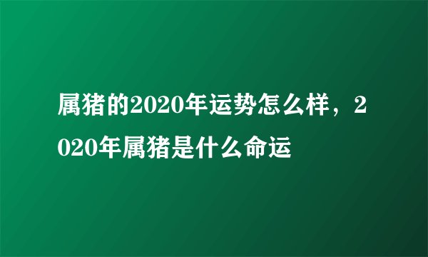 属猪的2020年运势怎么样，2020年属猪是什么命运