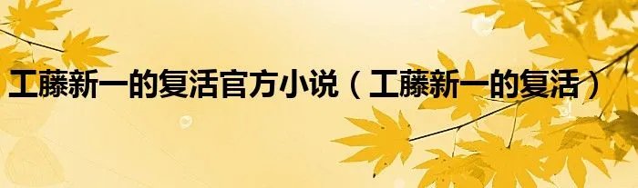 工藤新一的复活官方小说（工藤新一的复活）