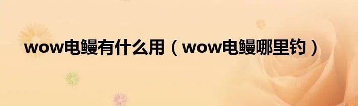 wow电鳗有什么用（wow电鳗哪里钓）