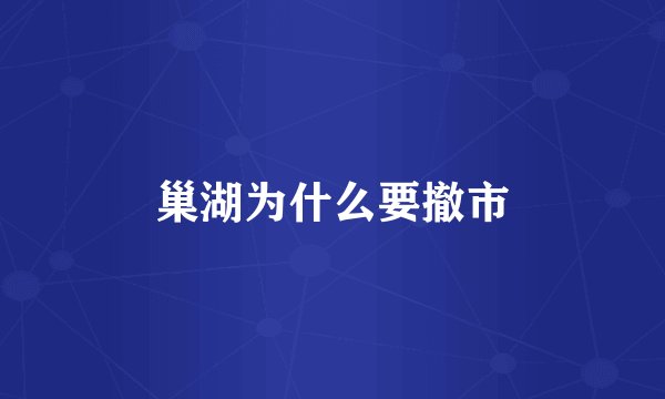巢湖为什么要撤市