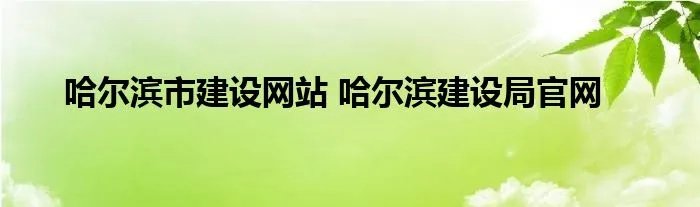哈尔滨市建设网站 哈尔滨建设局官网