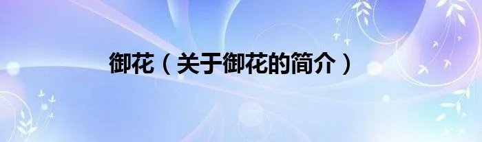 御花（关于御花的简介）