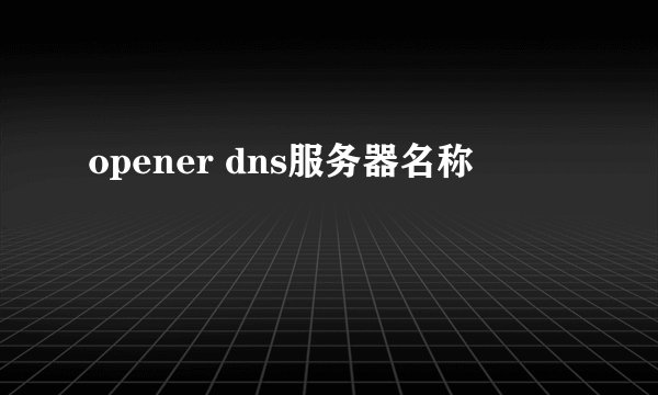 opener dns服务器名称