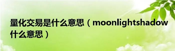量化交易是什么意思(moonlightshadow什么意思)