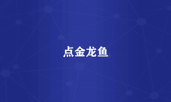 点金龙鱼