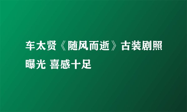 车太贤《随风而逝》古装剧照曝光 喜感十足